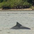 Ilha das Peças