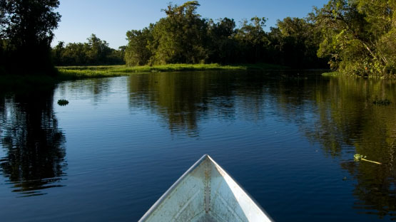 Rio Guaraguaçu