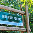 Trilha das Perobas