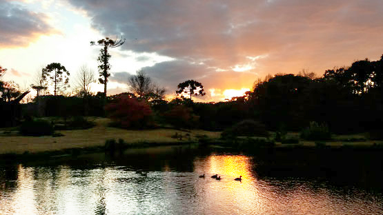 Faxinal do Céu - Foto: Prefeitura de Pinhão