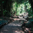 Parque Ecológico Municipal Danilo Marques Moura