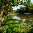 Parque Estadual Vila Rica do Espírito Santo