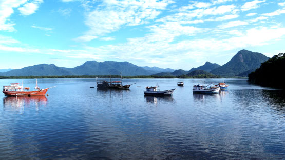 Barcos de Pesca