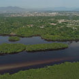 Ilha de Superagui