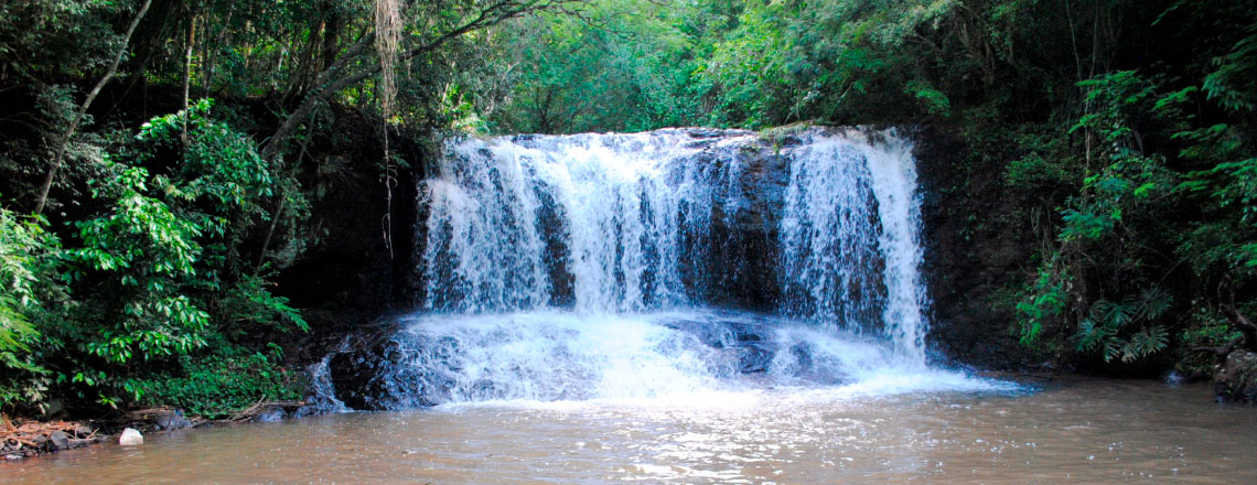 Roteiro Água Branca