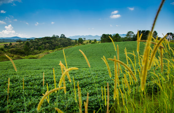 Área Rural de Piraquara