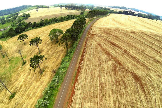 Asfalto na Área Rural