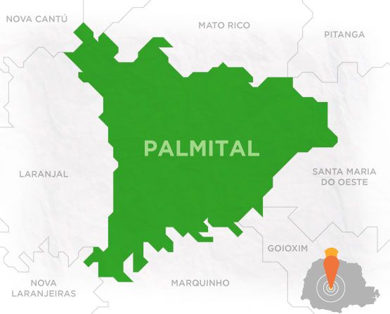 Mapa Palmital