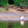 Rio da Várzea