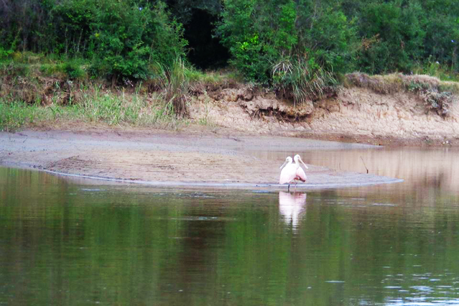 Rio da Várzea