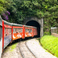 Túnel do Roça Nova