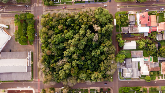 Bosque dos Pioneiros