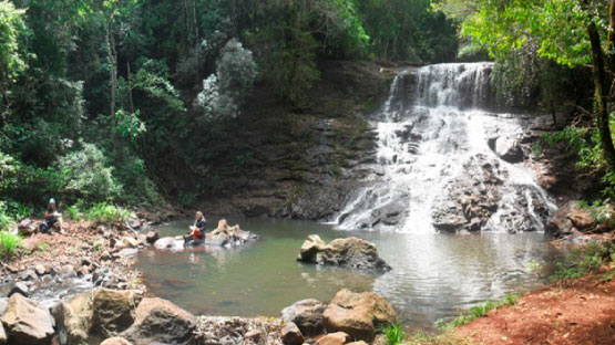 Cachu Portelinha