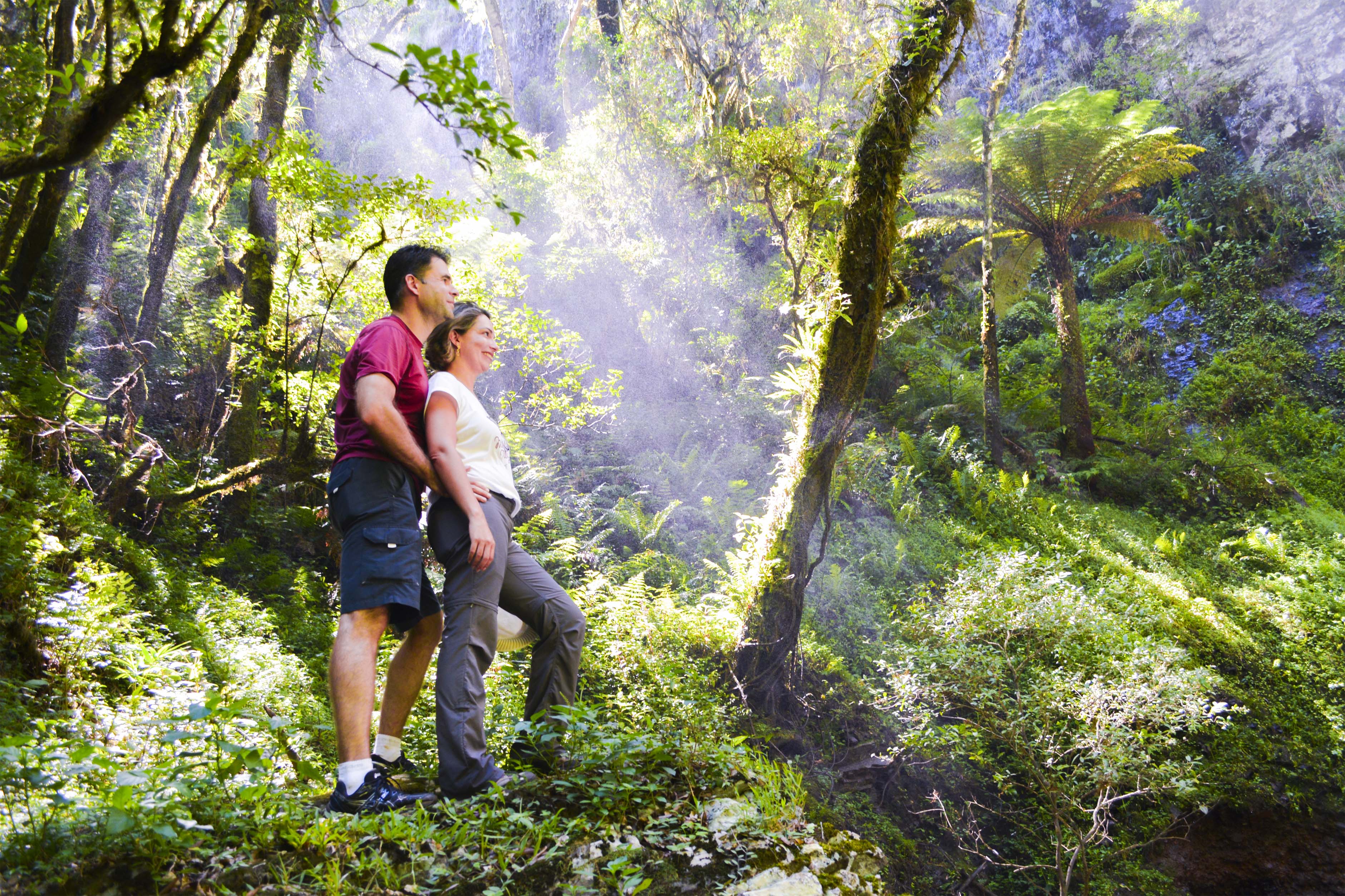 Trilha do Copa Alta - Turvo - Imagem Gralha Azul Turismo e Aventura