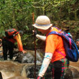 Caminhos de Peabiru