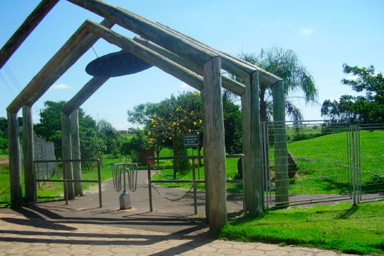 Bosque do Leão