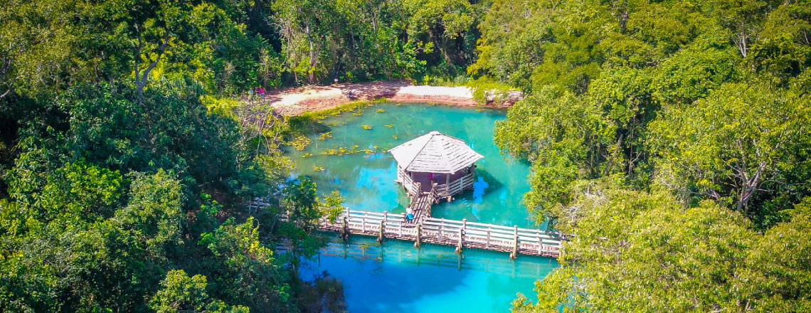 Reserva Ecológica Caraguatatuba