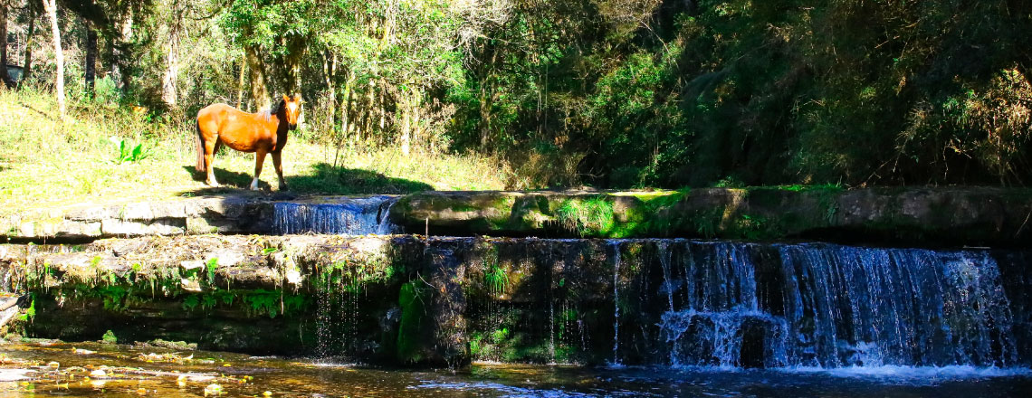 Cachoeira