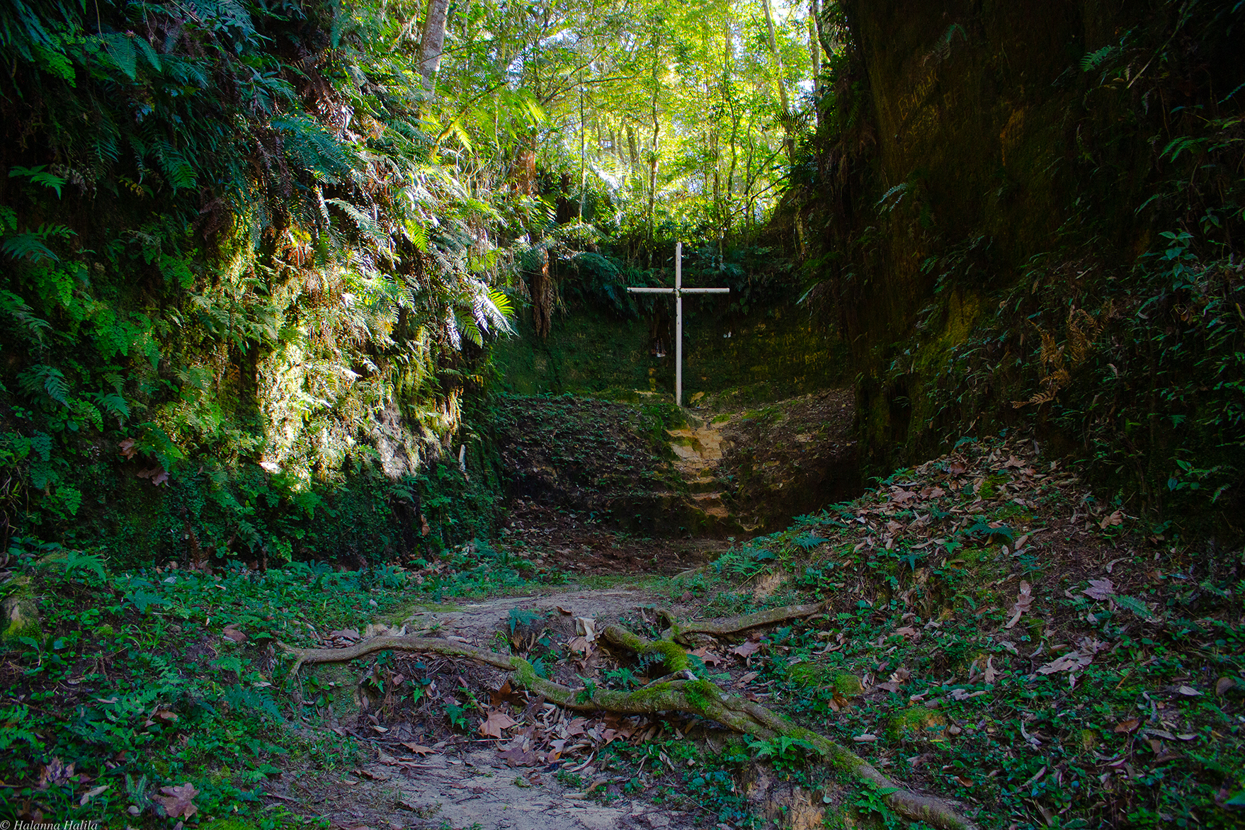 Gruta Nossa Senhora Imaculada Conceição