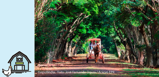 Turismo Rural