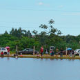 Parque Ecológico Irineu Volpato