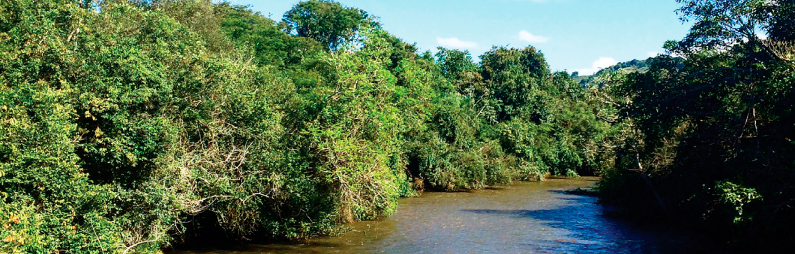 Rio da Várzea, Campo Mourão - Foto: Pref. de Campo Mourão