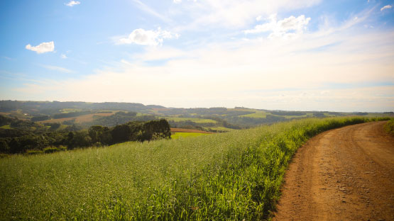 Turismo Rural