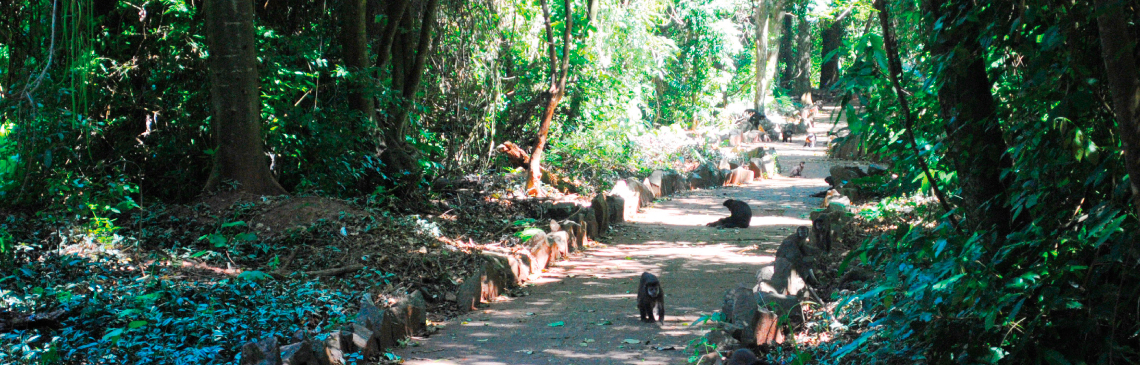 Parque Ecológico Municipal Danilo Marques Moura