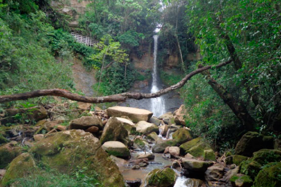 Parque Ecológico da Mina Velha