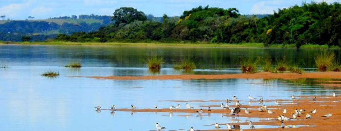 Pantanal Paranaense