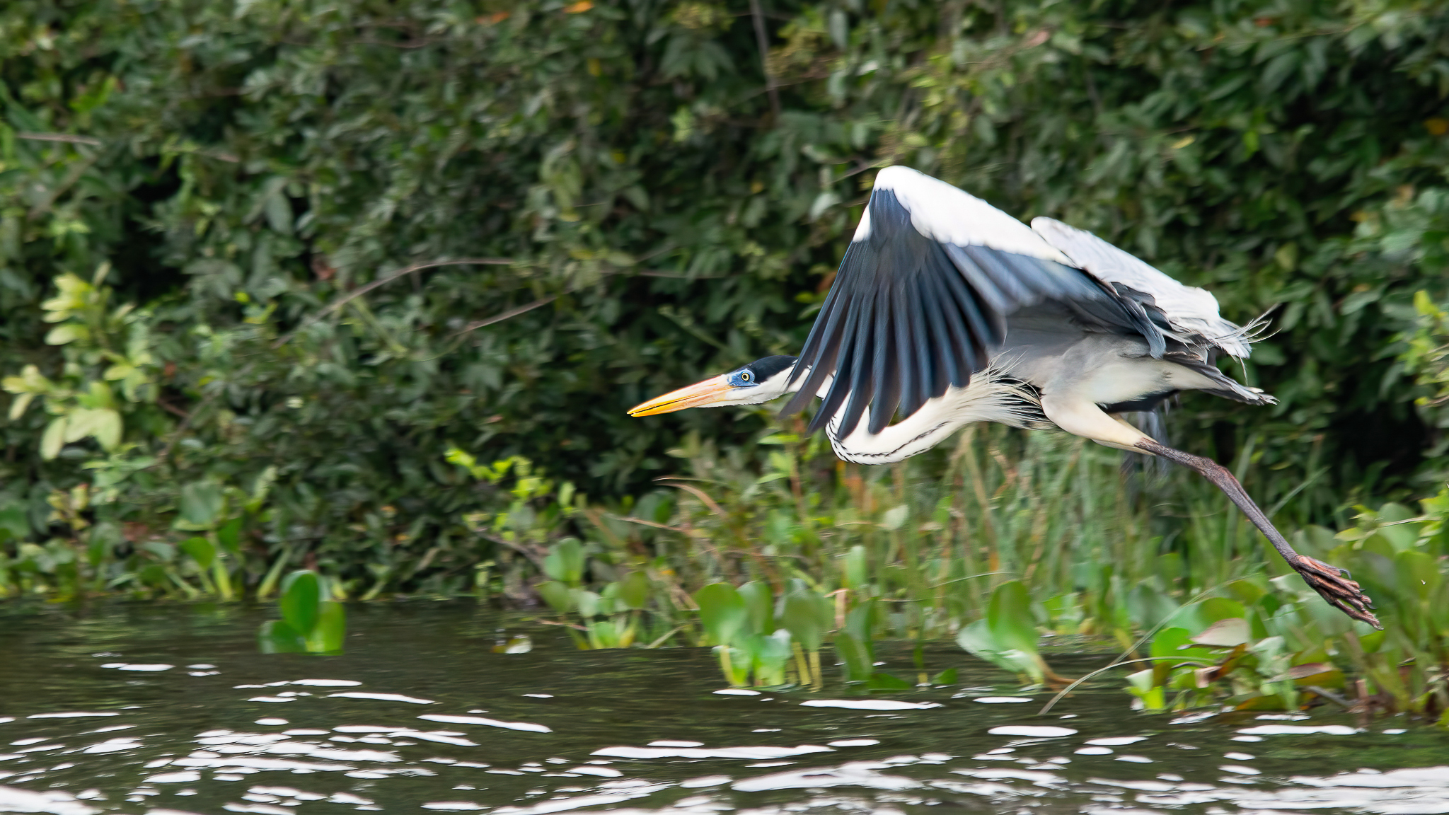 Foto: Diretoria de Comunicação e Imprensa Guaíra/PR