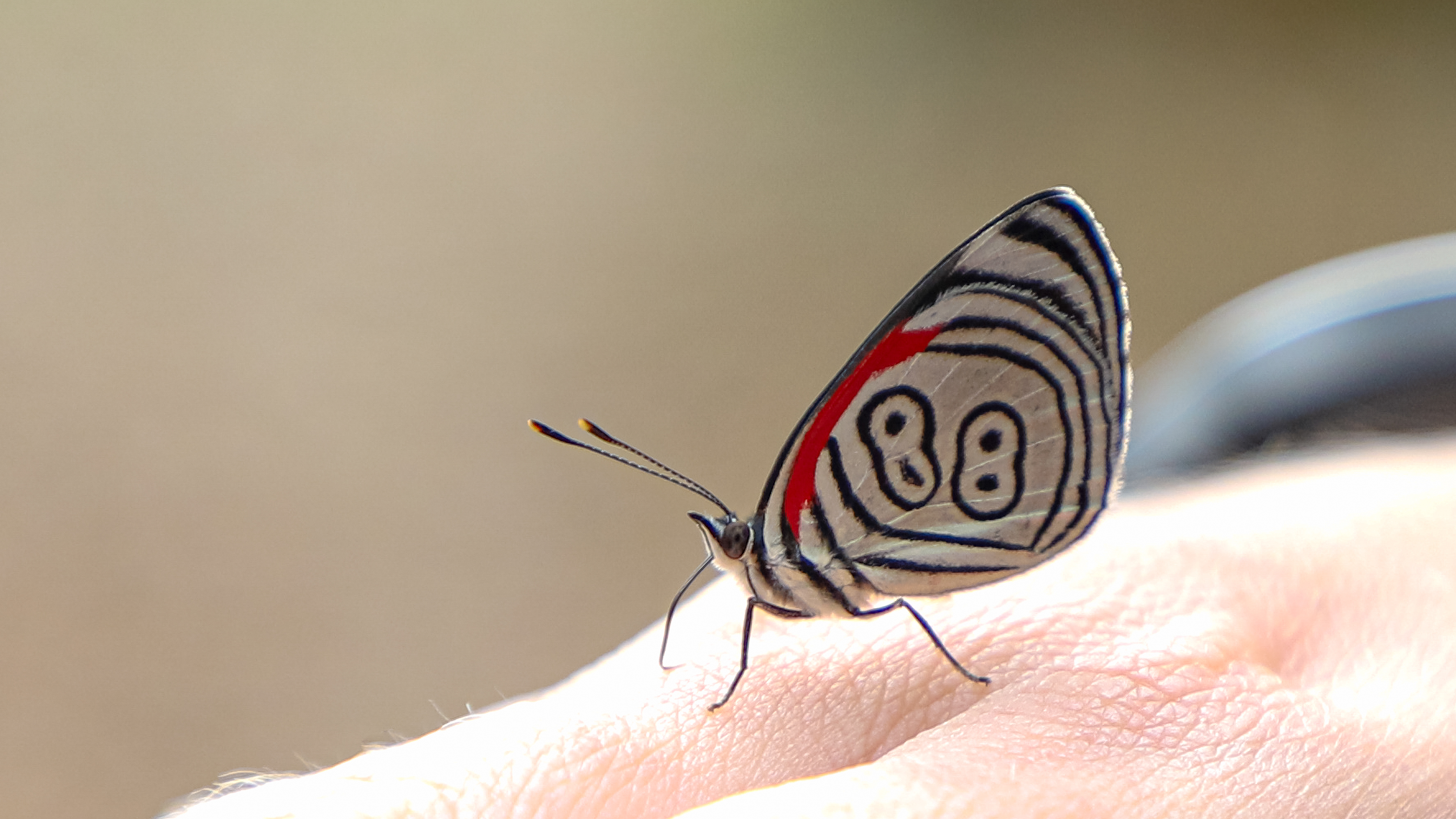 Foto: Diretoria de Comunicação e Imprensa Guaíra/PR