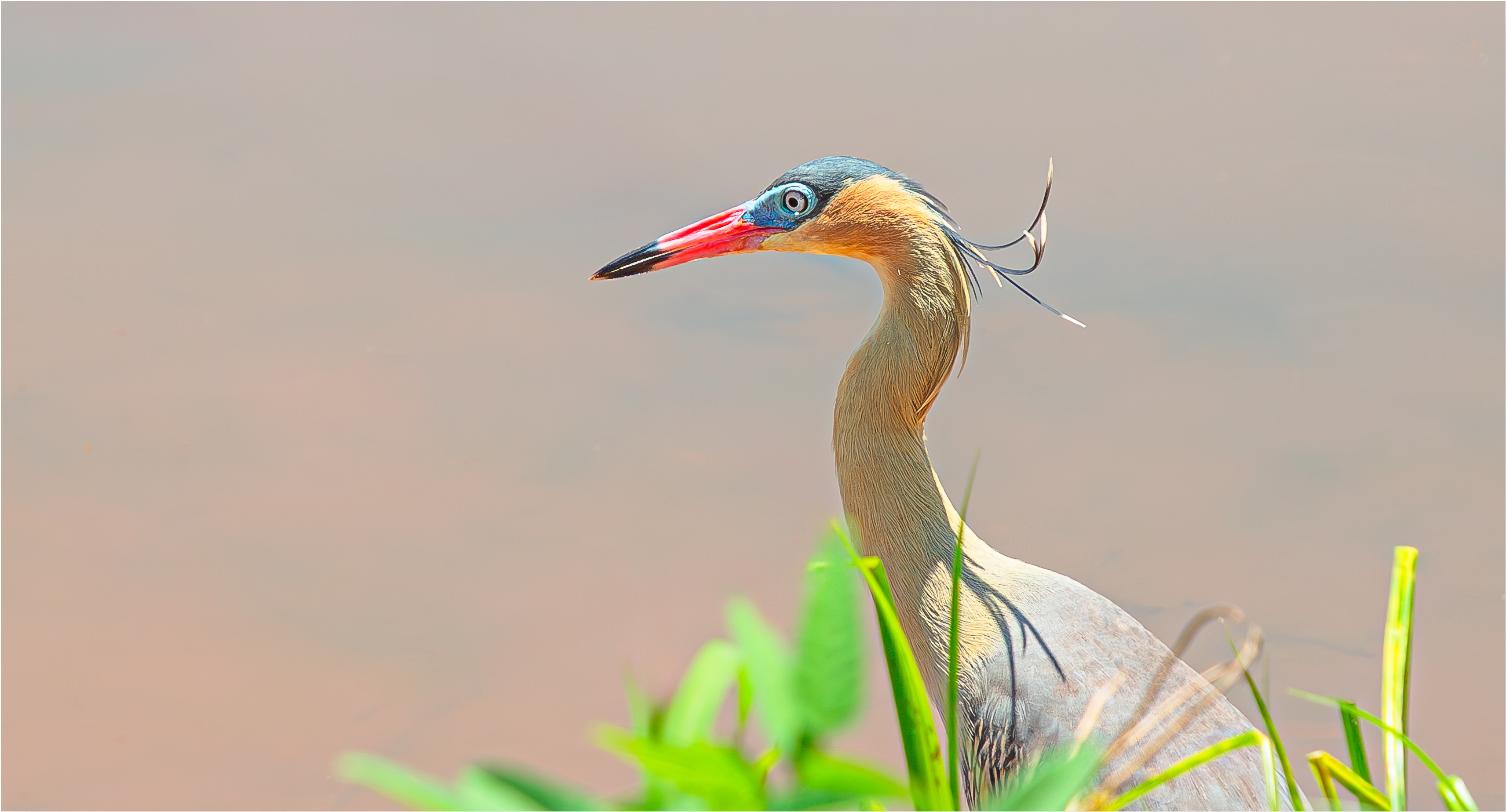 Foto: Diretoria de Comunicação e Imprensa Guaíra/PR