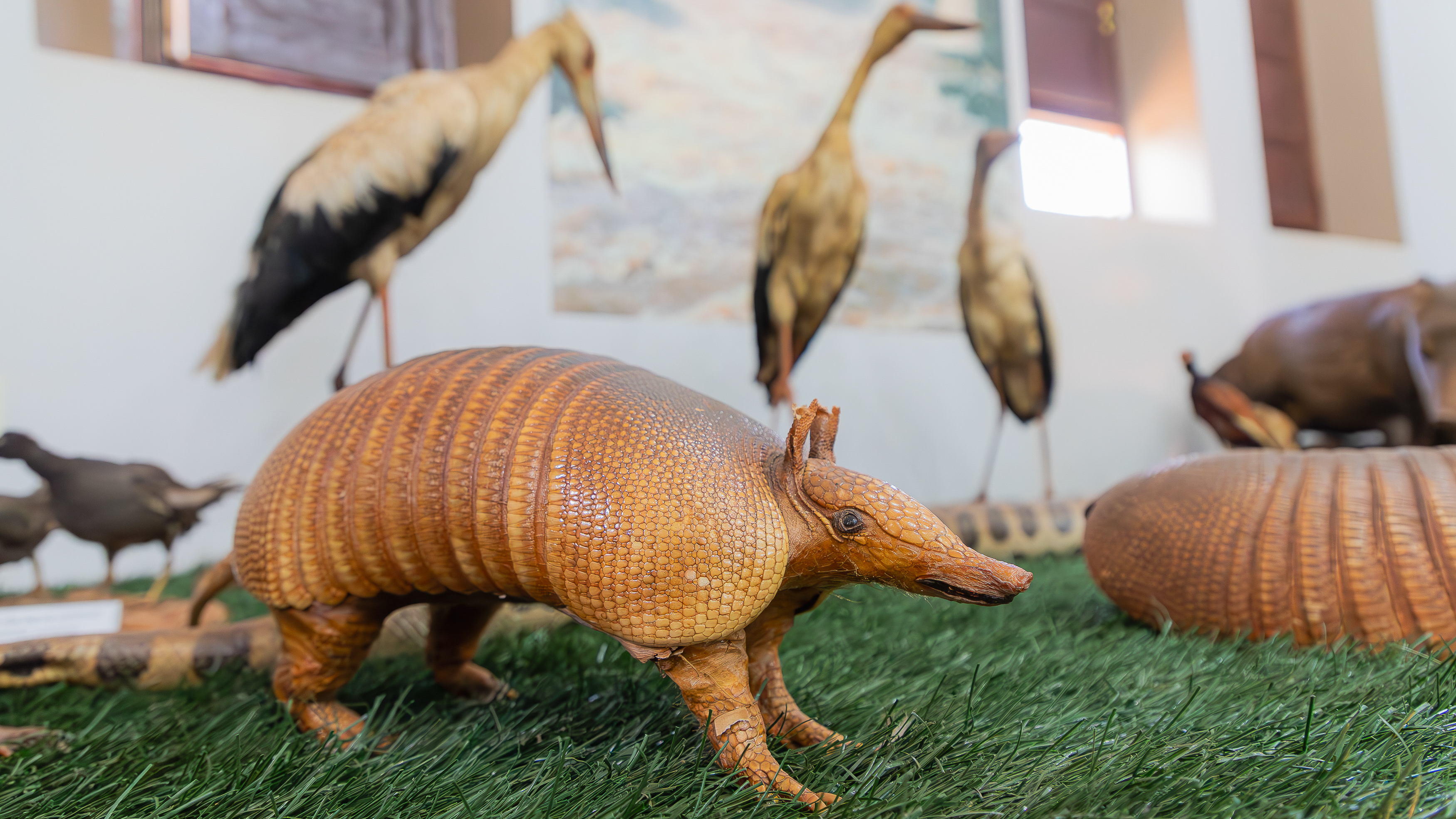 Foto: Diretoria de Comunicação e Imprensa Guaíra/PR