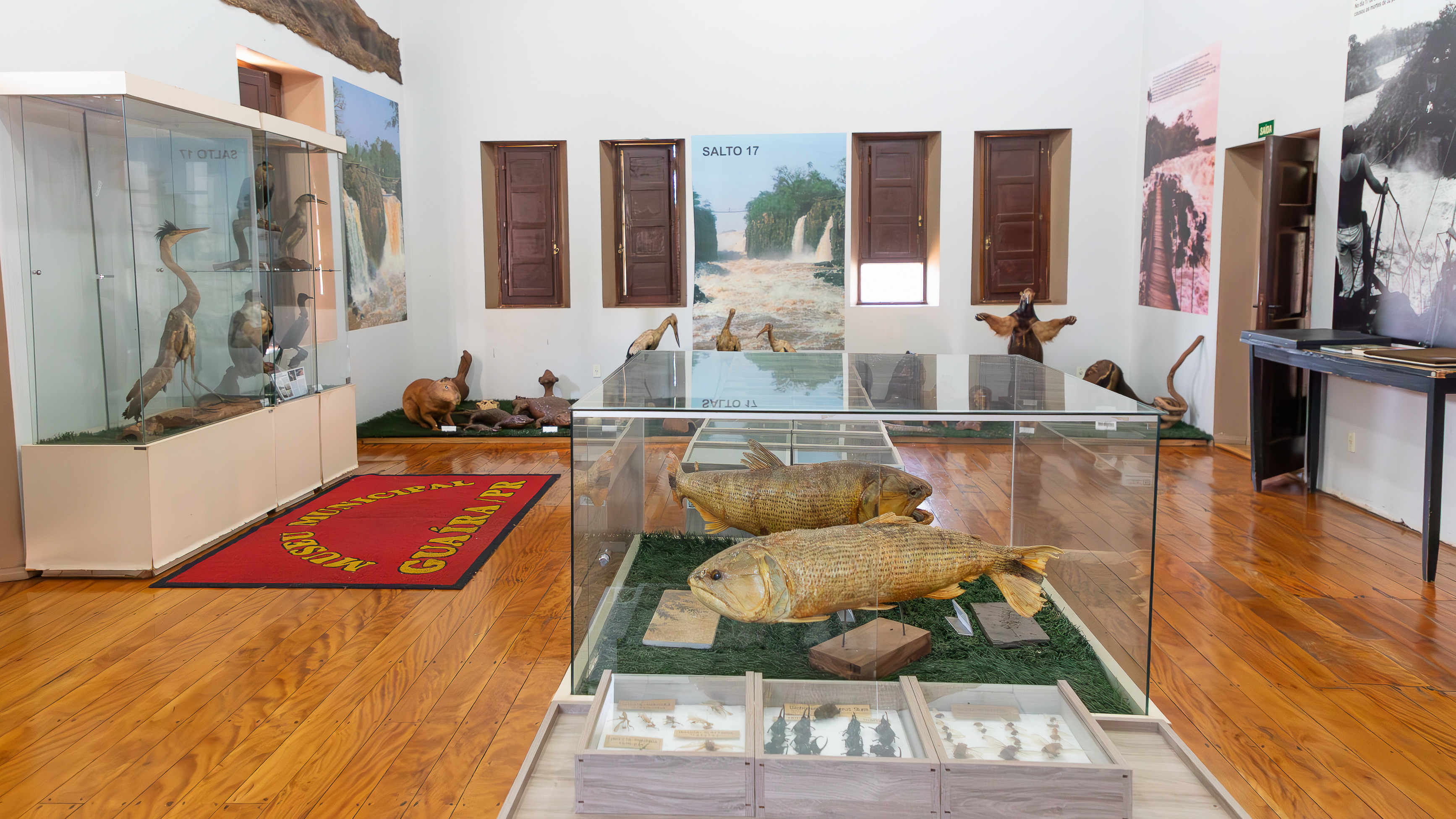 Foto: Diretoria de Comunicação e Imprensa Guaíra/PR