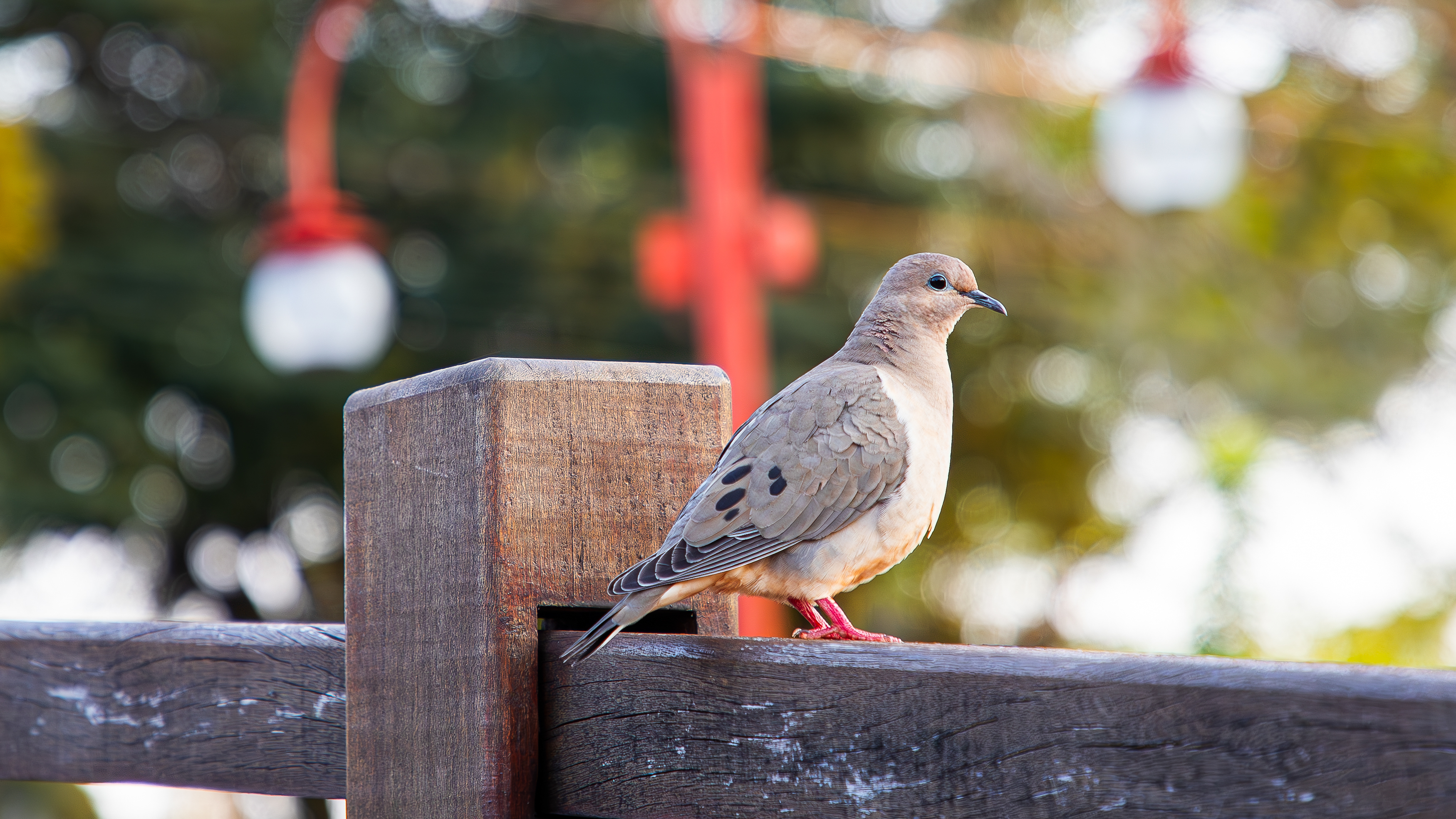 Foto: Diretoria de Comunicação e Imprensa Guaíra/PR