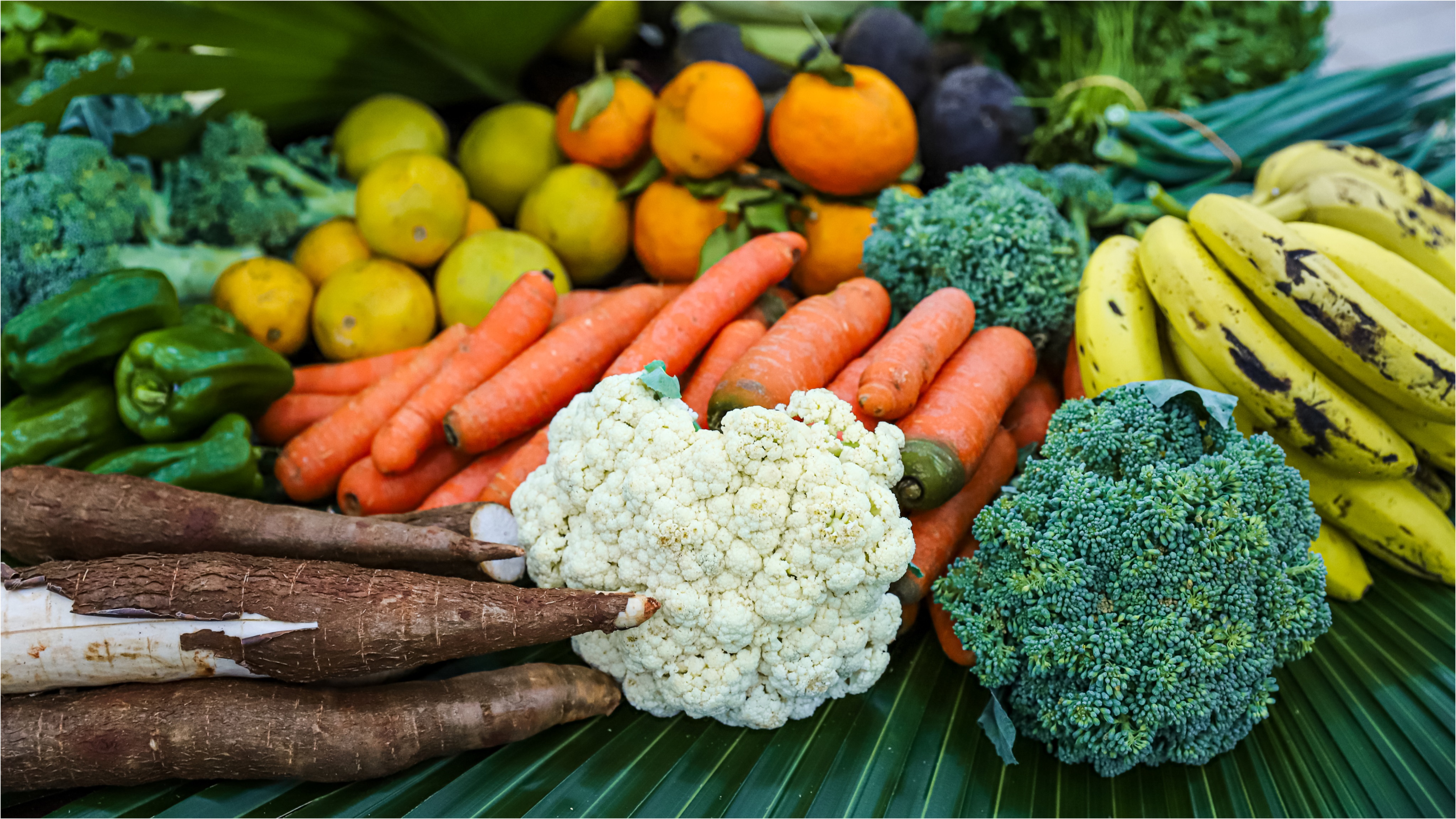 Foto: Diretoria de Comunicação e Imprensa Guaíra/PR