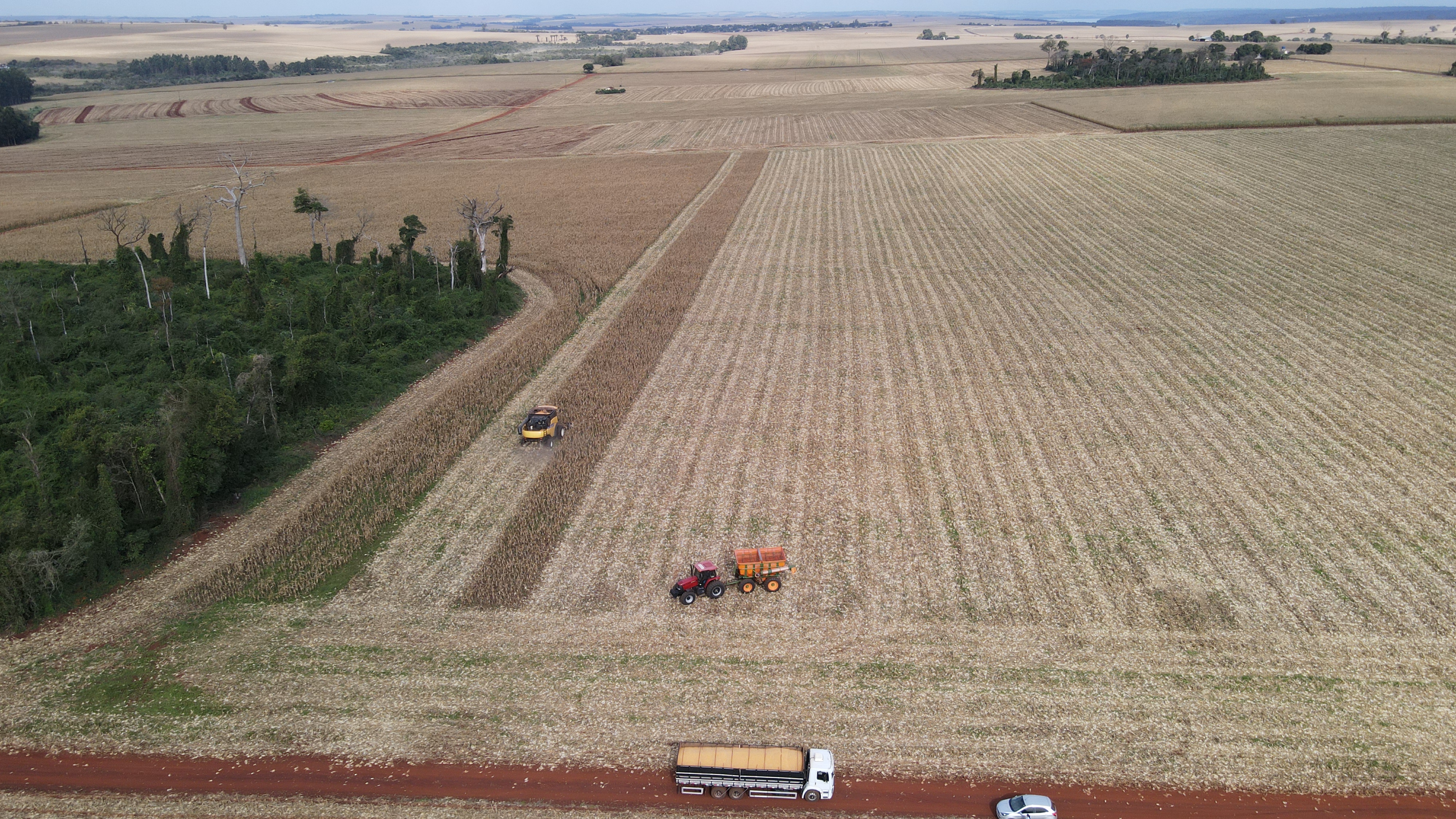 Foto: Diretoria de Comunicação e Imprensa Guaíra/PR