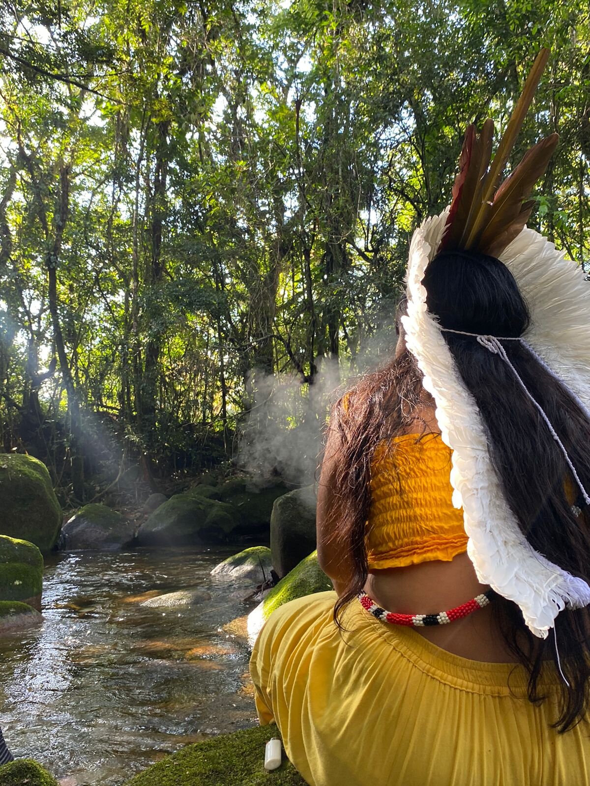 Notícia - Turismo com experiência indígena é atração da Grande Reserva da Mata Atlântica no Paraná