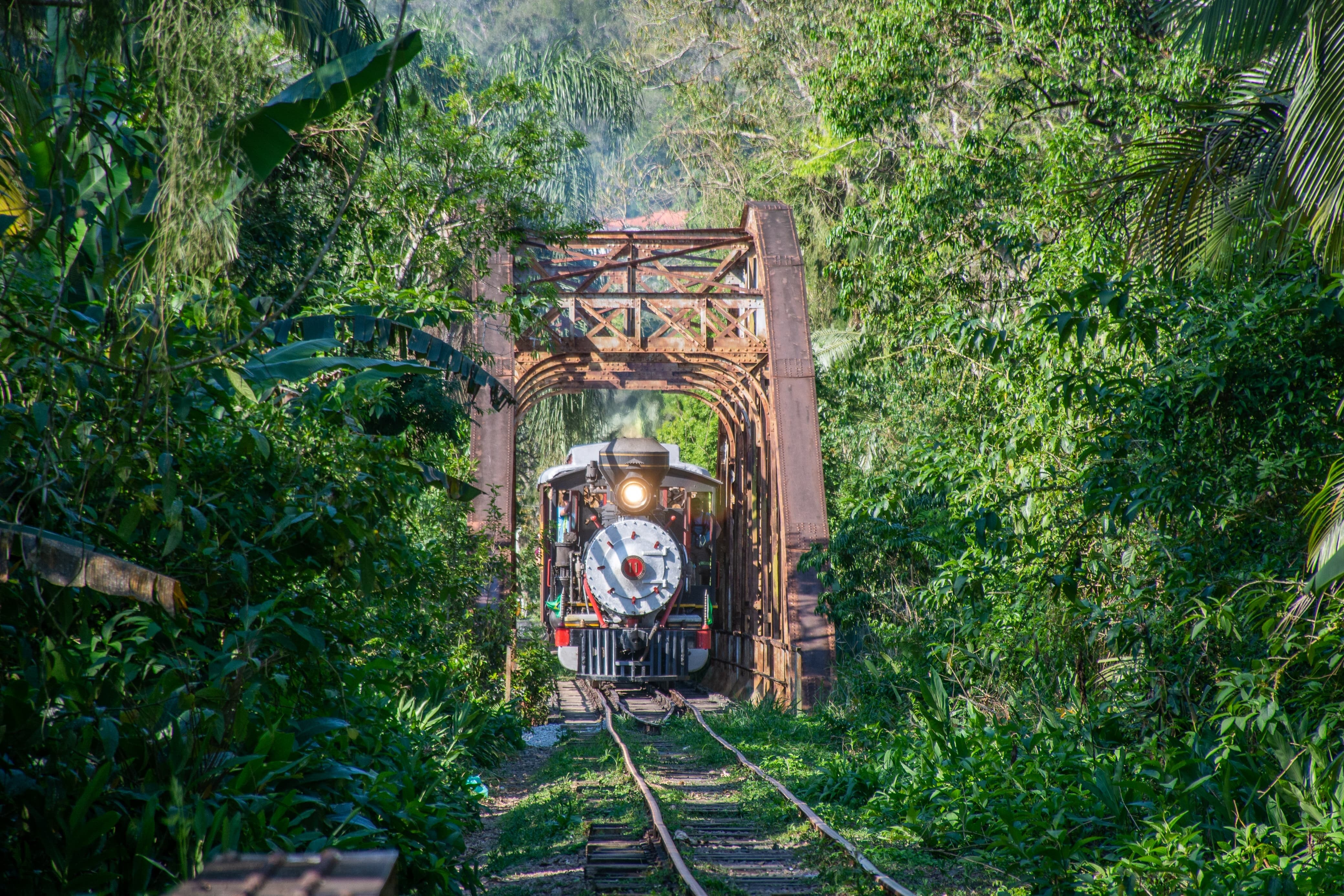 Notícia - Natal sobre trilhos: uma programação especial a bordo da locomotiva mais antiga do Paraná