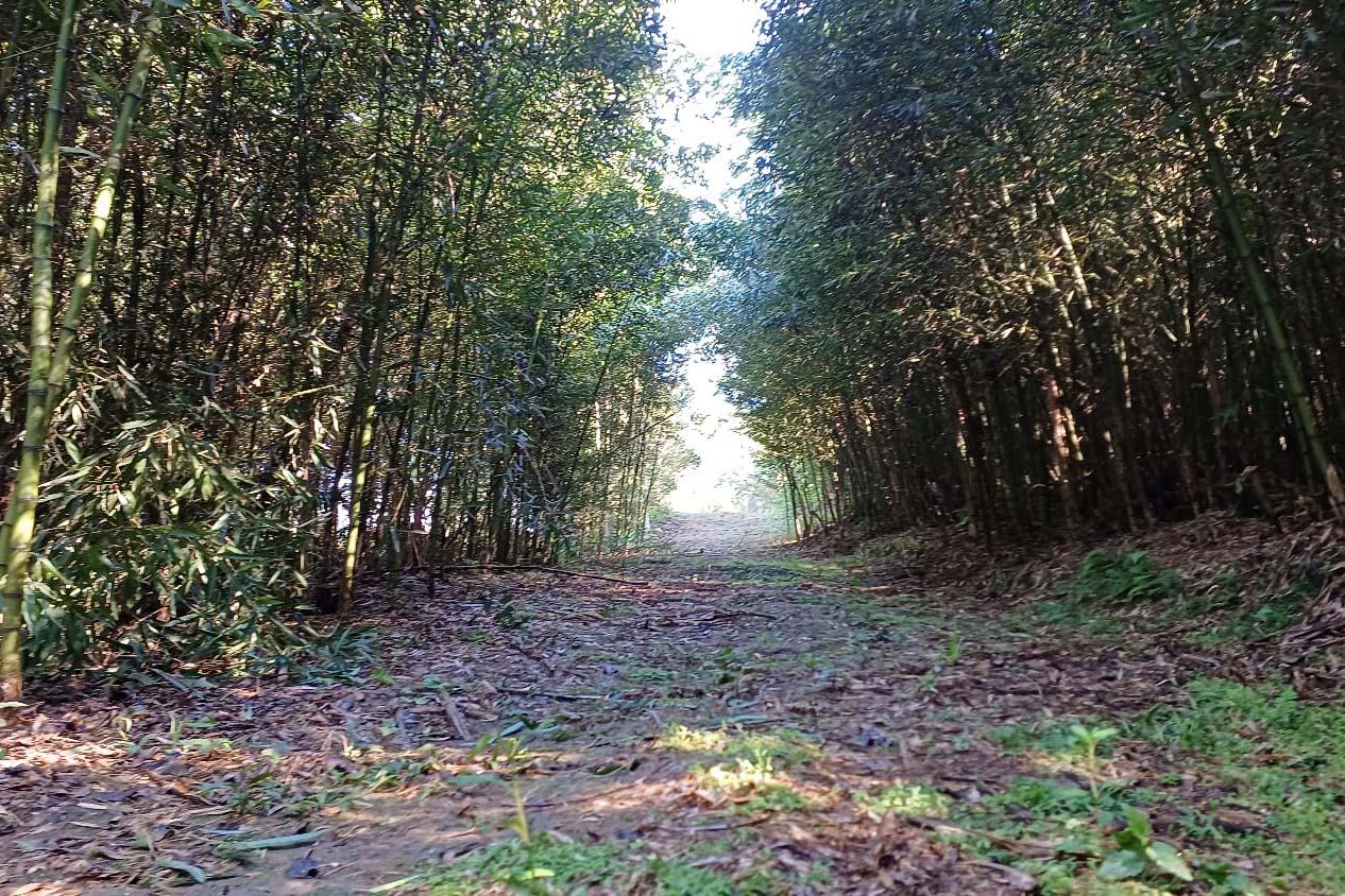 Novo circuito de turismo rural