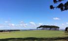 Campo