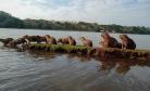 Parque do Jaboti