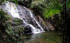 Reserva Ecológica do Sebuí
