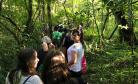 Caminhada da Natureza