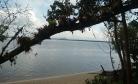 Comunidade do Maciel (Ilha do Maciel)