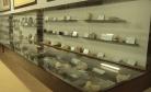 Museu de Ciências Naturais de Guarapuava