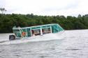 Parque Nacional do Iguaçu ganha passeios turísticos
