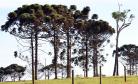 Paisagem Rural