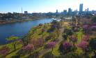 Parque do Lago